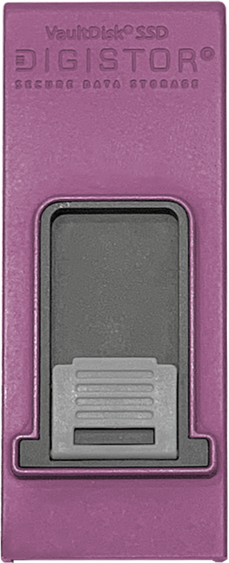 Pink DIGISTOR DIGISTOR VaultDisk M2-R SSD