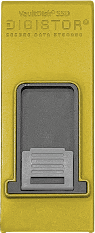 Yellow DIGISTOR VaultDisk M2-R SSD